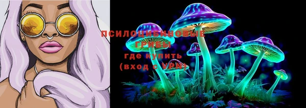 ГАЛЛЮЦИНОГЕННЫЕ ГРИБЫ Алексеевка