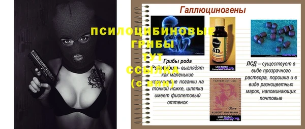 спиды Алексин