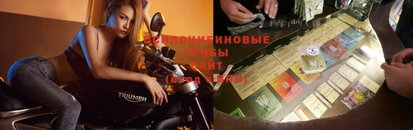 эйфоретик Зерноград