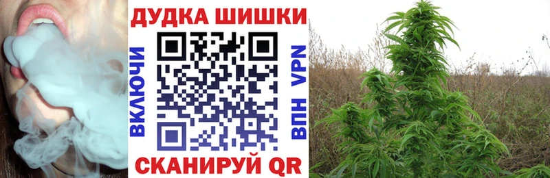 Канабис план закладка Берёзовский